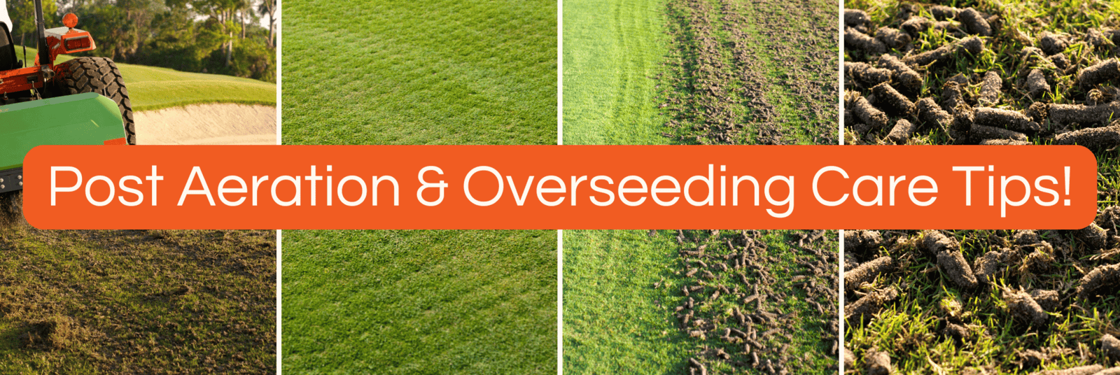 Post Aeration & Overseeding Care: Ensuring Your Lawn Thrives